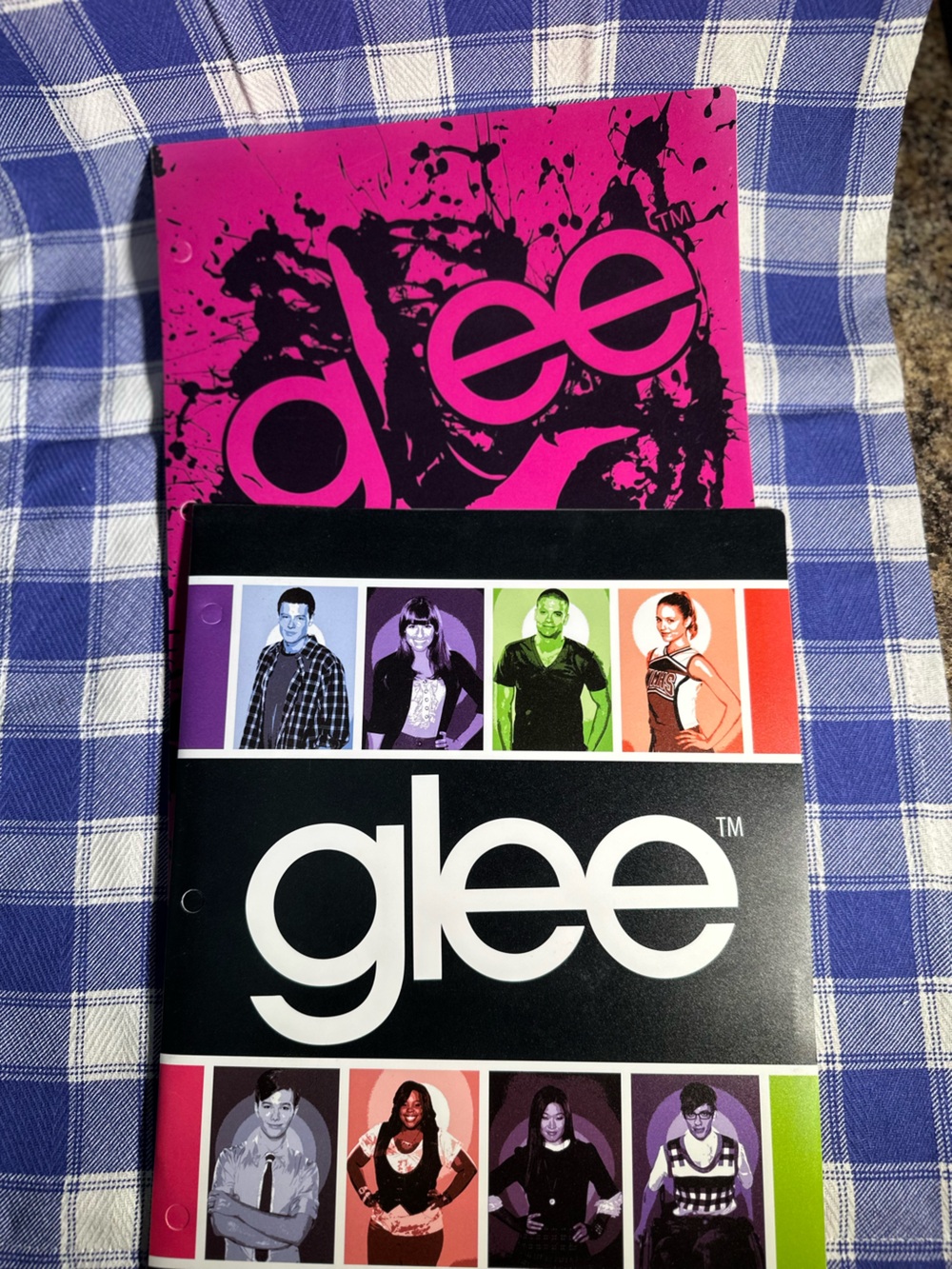🆕 GLEE 2 pocket folders (set of 2) Plastic portfolio folders 3 hole design